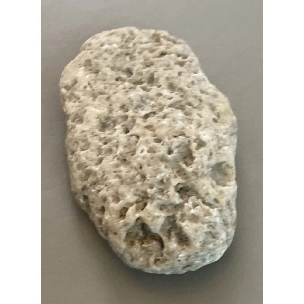 Fossilized Coral Natural Surf Tumbled 5.5